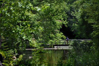 Yalnız motorcu, Bristol, Tennessee 'de Steele Creek üzerinde kırsal ahşap bir köprüden geçiyor. Su durgun ve yaz yeşili camsı yüzeyine yansıyor..