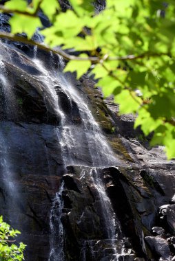 Parlak yeşil yapraklar, Kuzey Carolina 'daki Chimney Rock State Park' ta Hickory Nut Falls 'un çerçevesini oluşturuyor..