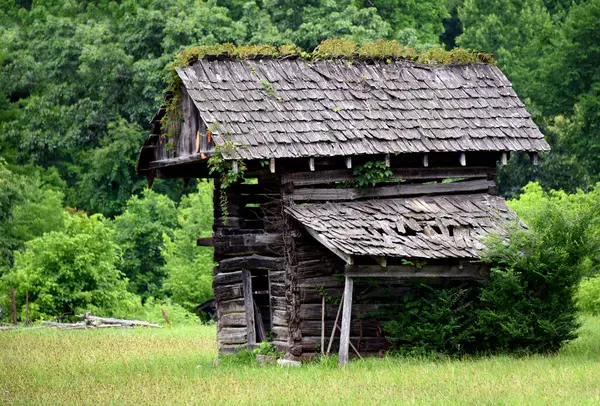 stock image Authentic smokehouse is being overtaken with weeds.  It is part of the Homeplace Mountain Farm and Museum in Southwest Virginia.