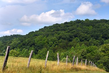 Kırsal çitler Tennessee 'nin Appalachian Dağları' ndaki bir yamaçtan aşağı iniyor. Mavi gökyüzünde bulutlar var.