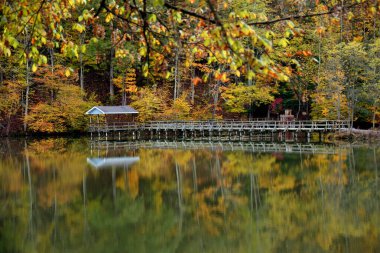 Wooden walkway leads to small pavilion that sits over Steele Creek Lake in park in Bristol, Tennessee.  Calm, still water of lake reflects Autumn foliage. clipart