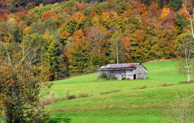 Appalachian Dağları 'nın eteklerinde yalnız bir ahır var. Tamir edilmiş ve teneke çatıdan sökülmüş. Sonbahar denizleri dağlık ağaçları kırmızı, sarı ve altın rengine dönüştürdü..