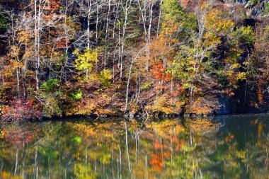 Sonbahar renkleri, Kingsport, Tennessee 'deki Fort Patrick Henry Gölü' nün durgun sularını yansıtır. Alçak ağaç dalları gölde yansımaya benzer..