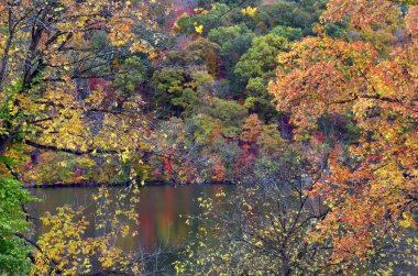 Güz Renkleri kıyıları ve Steele Creek Gölü, Bristol, Tennessee 'nin durgun yüzeyine yansıyor.  