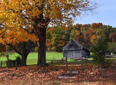 Adımlar bizi bir zamanlar Appalachian çiftliğinde bulunan eski bir kır evine götürüyor. Ahır hala duruyor ve sonbahar yapraklarıyla çevrili..