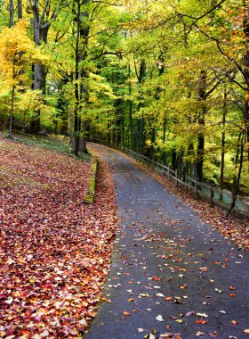 Eğri büğrü asfalt yol mesafeye doğru kaybolur. Çit ve Sonbahar dar geçitten ayrılıyor..