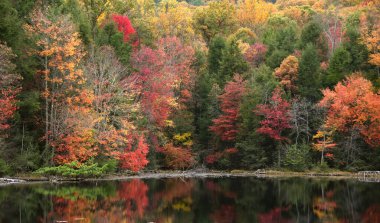 Fall color reflects in Bays Mountain Park, Kingsport, Tennessee.  Glassy surface gives mirror reflection. clipart