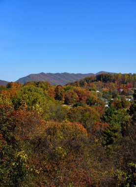 Sonbahar, Kingsport, Tennessee 'deki Appalachian Dağları' ndaki ağaçları turuncu, sarı ve altın rengine çevirdi. Gökyüzü mavi.