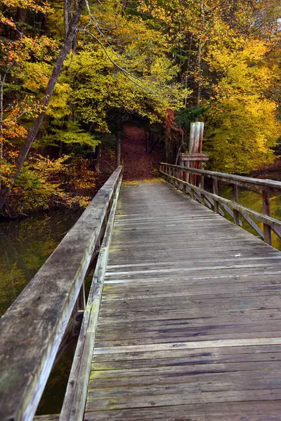 Tahta köprü Steele Creek Park, Bristol, Tennessee 'deki Slagle Hollow Knob Trail' e çıkıyor. Sonbahar yaprakları tüneli oluşturur ve yolun başlangıcında zemini kaplar.