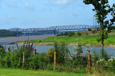 River Park çiçekleri Memphis, Tennessee 'de Mississippi boyunca çiçek açar. Harahan Demiryolu Köprüsü arka planda görülebilir.