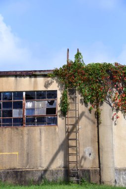 Çatıya çıkmak için binaya bağlı bir merdiven var. Merdivenin tepesinde kavisli raylar var. Ivy aşırı büyüyen bir merdiven ve terk edilmiş bir binanın camları kırılmış..