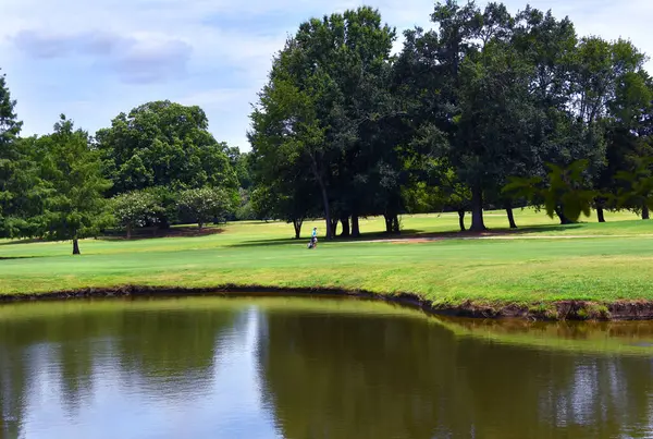 Golfçü kötülüğünü Memphis, Tennessee 'deki bir golf sahasında bir sonraki deliğe taşıdı. Gölet ağaçları yansıtır.