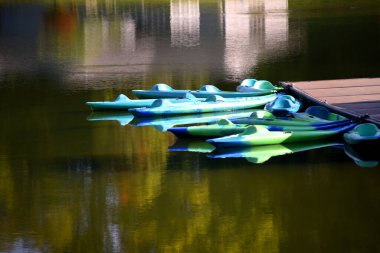 Group of aqua and blue kayaks are tied to a wooden dock near Duck Island in the Warriors Path State Park near Kingsport, Tennessee. clipart