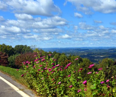 Aşağıdaki vadide Kingsport, Tennessee 'yi görmek için dağ yolu açılıyor. Zinalar yol kenarında parlak pembe çiçeklerle açarlar..