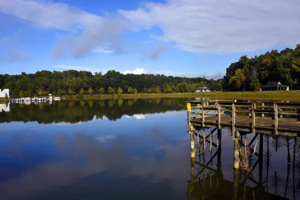 stock image Cedar trees are tied to wooden dock in Warriors Path State Park.  They are part of a fish habitat site.  Sky is reflected in still morning light.  Marina can be seen in background.