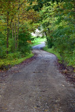 Narrow dirt lane twists and turns between trees on a country road in Tennessee. clipart