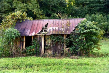 Çürüyen ve harap olmuş ev sarmaşıklarla dolu. Teneke Çatı sökülmüş ve ahşap kapı açılmış. Pencereler camsız..