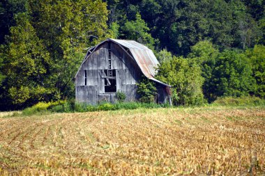 Appalachian Dağları 'nın eteklerinde eski bir ahır var. Mısır, ahırın önündeki tarladan kesilip biçildi. Baarn ahşap, kırsal ve harap..