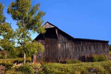 Rustic, faded wooden barn has rusting metal corral leaning against it.  Spring green grass and vivid blue sky on an early morning makes backdrop for this Tennessee barn. clipart