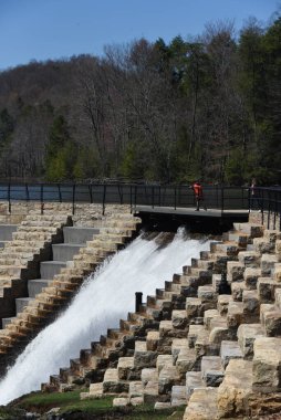 Young visitor leans over metal railing of Walkway to admire the waterfall at Bays Mountain Park and Planetarium.  Water cascades own spillway. clipart