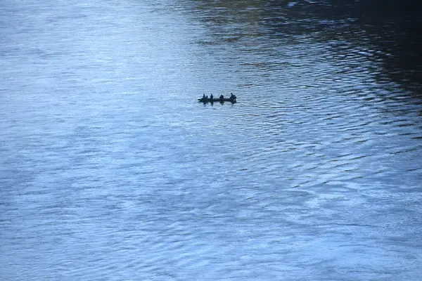 Stock image Group of four fish from boat along the White River in North Arkansas.  They are fishing in the Ozark National Forest and Ozark Plateau.