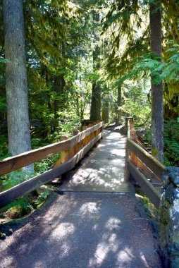 Wooden, bridge leads to Sahalie Falls in Oregon.  Sunlight filters through trees on this sunny day. clipart