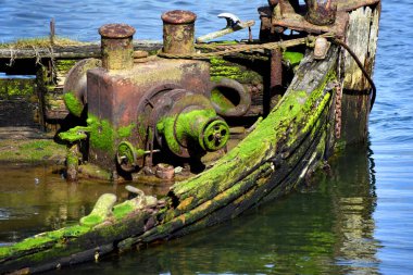 Closup of the wreckage of the Mary D. Hume steam ship, shows the rotting wooden sides and rusting steamship parts.  Green moss grows over surfaces. clipart