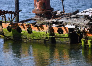 Mary D. Hume Schooner 'a ait gemi enkazı terkedilmiş ve terkedilmiş olarak Oregon' daki Altın Sahili 'nde yatıyor. Schooner 'ın taraflarında kırık pencere delikleri var..