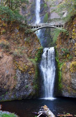 Tarihi köprü, Oregon 'daki Multnomah Falls' a erişim sağlıyor. Şelale kayalık kayalıklardan aşağı süzülüyor ve bir kat aşağıdaki havuza düşüyor..