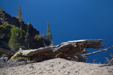 Çürük kütük, Oregon 'daki Krater Gölü Ulusal Parkı' nın uçurum kenarında yatıyor. Krater Gölü 'nün canlı mavisi arka planda görülebilir.