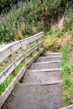 Taşralı, ahşap merdivenler Oregon kıyısında bir sahile iniyor ziyaretçilere kıyıya erişim sağlıyor..