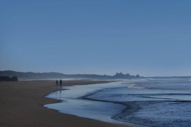Yaşlı bir çift, terk edilmiş Myers Sahili 'nde sabah yürüyüşü yapıyor. Plaj 101 nolu karayolu üzerinde, Oregon sahili boyunca yer almaktadır..