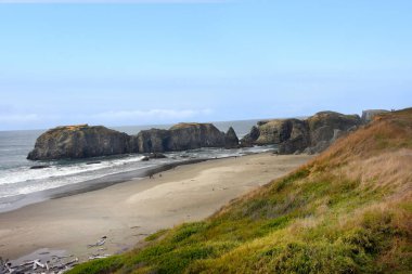 Bandon, Oregon yakınlarındaki Fil Kayası 'nın manzara görüntüsü. Dev kaya oluşumu bir filin kafasını ve gövdesini simgeler..