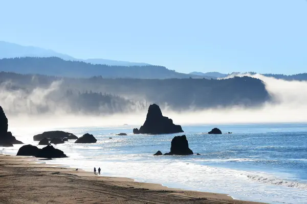 stock image Morning greets couple and dog. Clinging fog hugs coast and evaporates under a blue sky.  Beach is along Highway 101 near Port Orford, Oregon.