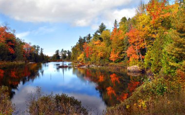 Michigan 'daki Keweenaw Yarımadası' nın durgun sularına sonbahar yansımaktadır. Su turuncu ve sarı renklerle renklendirilmiştir..