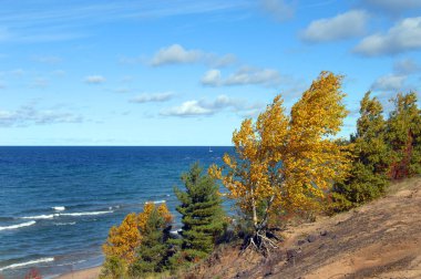 Yukarı Yarımada, Michigan 'daki Superior Gölü boyunca uzanan mavi ufuk. Göl dışında Aspen altın rengine döner ve rüzgar tarafından eğilir. Kıyıdan uzakta küçük bir tekne sallanıyor..