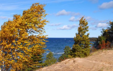 Yukarı Yarımada, Michigan 'daki Superior Gölü boyunca uzanan mavi ufuk. Göl dışında Aspen altın rengine döner ve rüzgar tarafından eğilir. Küçük tekne kıyıdan uzakta sallanıyor.