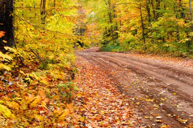 Arka yolları sonbahar renkleriyle renklendiriyor, Yukarı Penninsula, Michigan 'da bir renk tuvaline yol açıyor. Toprak şerit, S-kıvrımları, mesafeye..