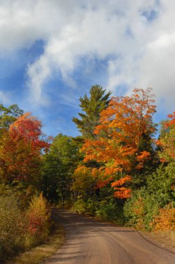 Michigan, Yukarı Yarımada 'daki bir kırsal yolda toprak şerit sonbahar yeşilliklerinde kayboluyor..