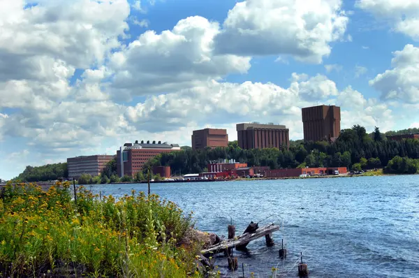 Çiçekler ve harap olmuş ahşap rıhtım Houghton, Michigan 'daki Michigan Teknoloji' nin görüntüsünü ön plana çıkarıyor. Kampüs binaları Portage Gölü 'ne bakıyor..