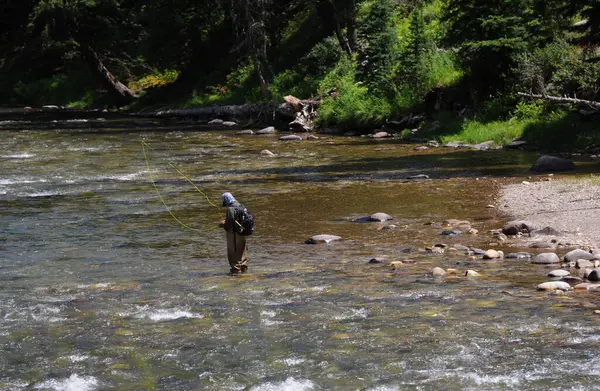 Adam Montana 'daki Gallatin Nehri' nde balık tutmaya hazırlanıyor. Nehir sığ.