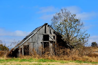 Kahverengi otlar ve çıplak ağaçlar Arkansas 'ta terk edilmiş bir ahırı süslüyor. Mavi gökyüzü çerçeveler. Çatı kapısı açık..