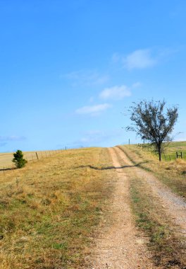 Çakıl ve toprak yol Kuzey Arkansas 'ta bir tepeye tırmanıyor ve mavi ufukta kayboluyor..