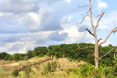 Yürüyüş yolu, Indiana Dunes Ulusal Parkı 'ndaki kum tepelerine tırmanan uzun tahta basamaklara çıkıyor. Adımlar kırılgan kumulları korumaya yardım eder..