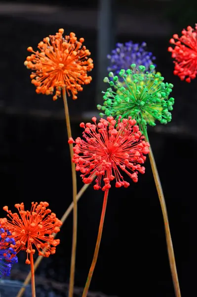 stock image Brilliantly colored spray painted flowers show up vividly against this dark background.