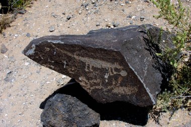 Albuquerque, New Mexico 'daki Petroglyph Ulusal Anıtı' nda büyük bazalt kayalar petroglyph çizimleri sergiliyor. Pueblo Hint sanatı ve kültürü parkta korunmaktadır..