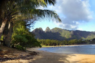 Hawaii 'nin Kauai adasındaki bu plajı güzel bir manzara kaplar. Dağlar ve palmiye ağaçları görüntünün etrafında.                                
