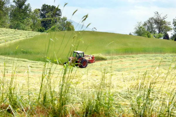 stock image Tennessee farmer cuts the hay in his field with a red tractor and mower.  Hay lays in rows behind rake.