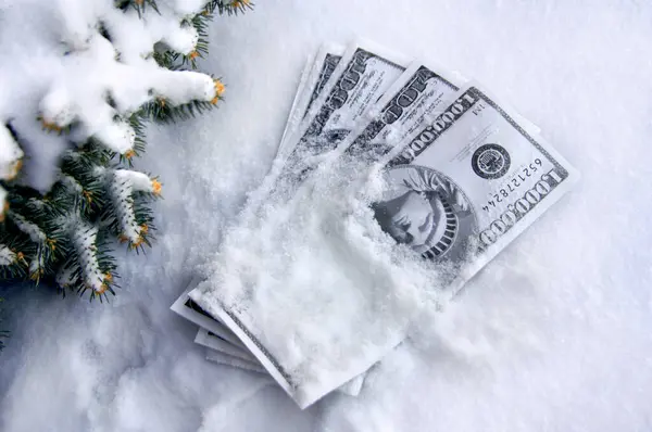 Stock image Pile of play money is covered with snow.  Fir branches frame stash of money.