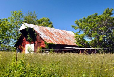 Tennessee ahırı, yıpranmış ve paslı çatısı var, sarmaşık tarafından ele geçiriliyor. Dışı kırmızı ahşap ve çitlerle çevrili..